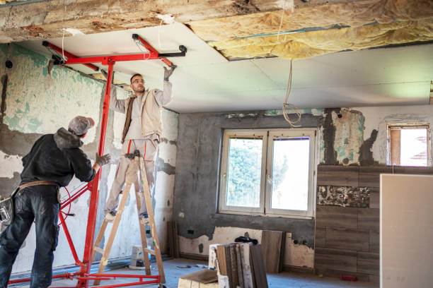 Best Specialty Insulation in Clisle, AR