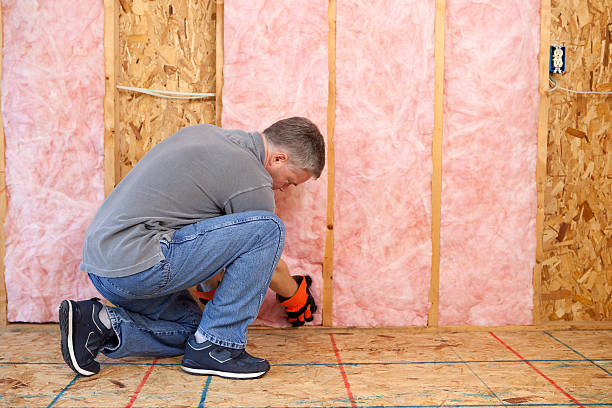 Best Residential Insulation in Clisle, AR